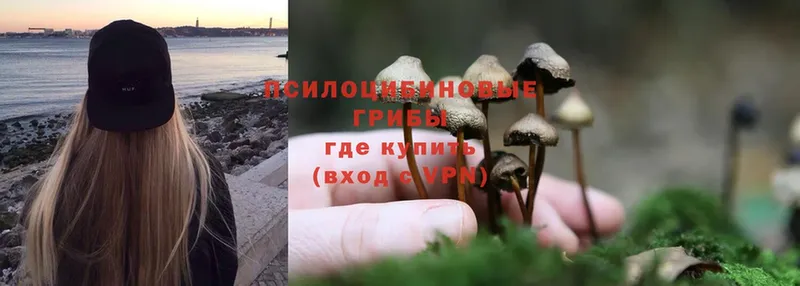 Галлюциногенные грибы MAGIC MUSHROOMS  цены наркотик  Алапаевск 